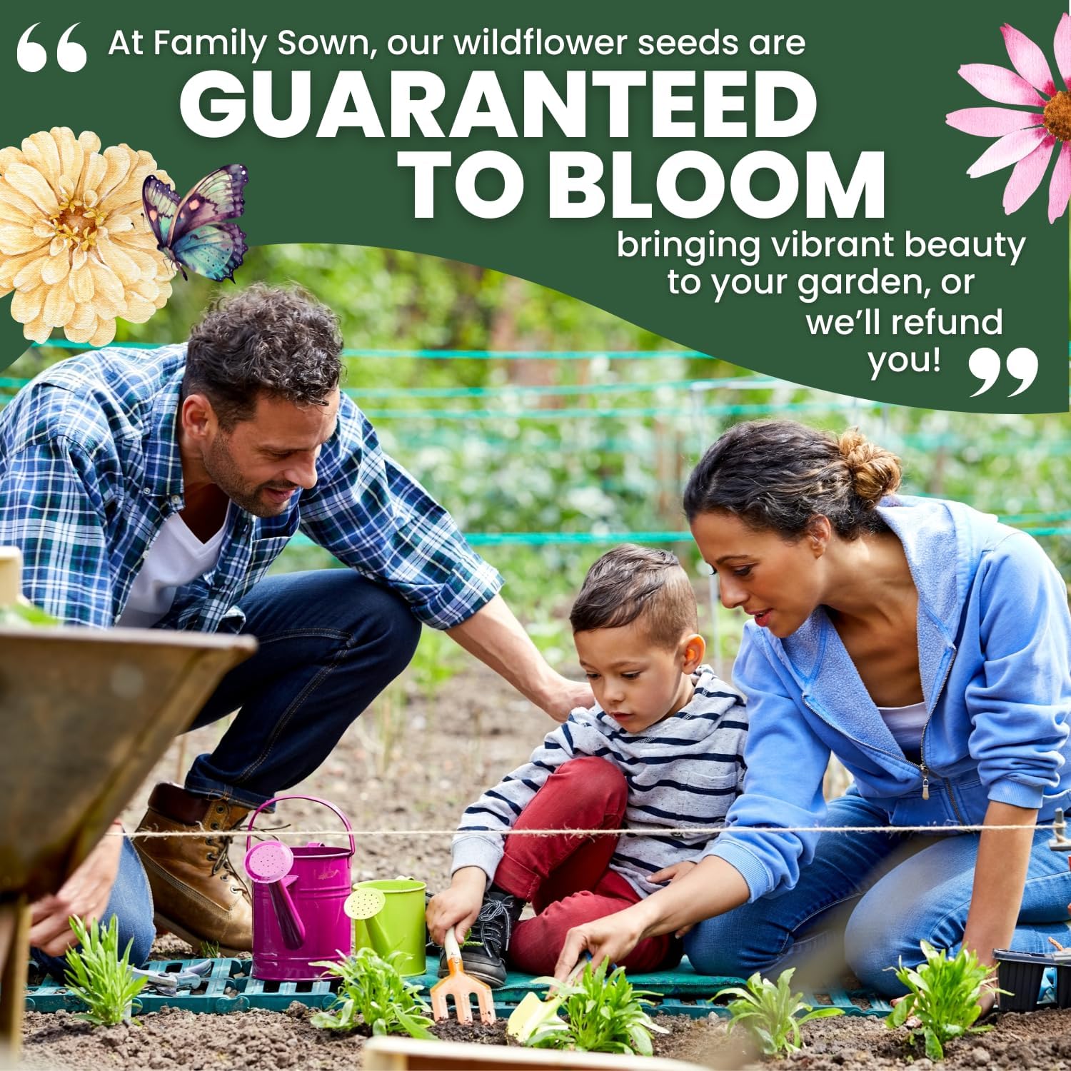 All Annual Quick Blooming Mix - 16,000 Wildflower Seeds for Vibrant Gardens - 1 Ounce Packet