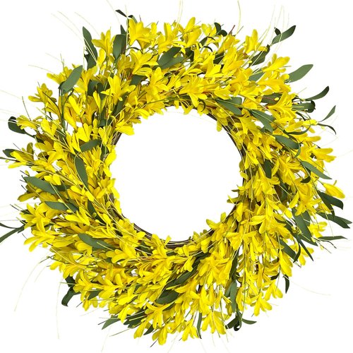 LOKEISNA Yellow forsythia Door Wreath, 24 Inch Summer Wreaths for Front Door Outside, Hand Made Artificial Forsythia Flower Wreath for Front Door Window Wall Farmhouse Home Gift