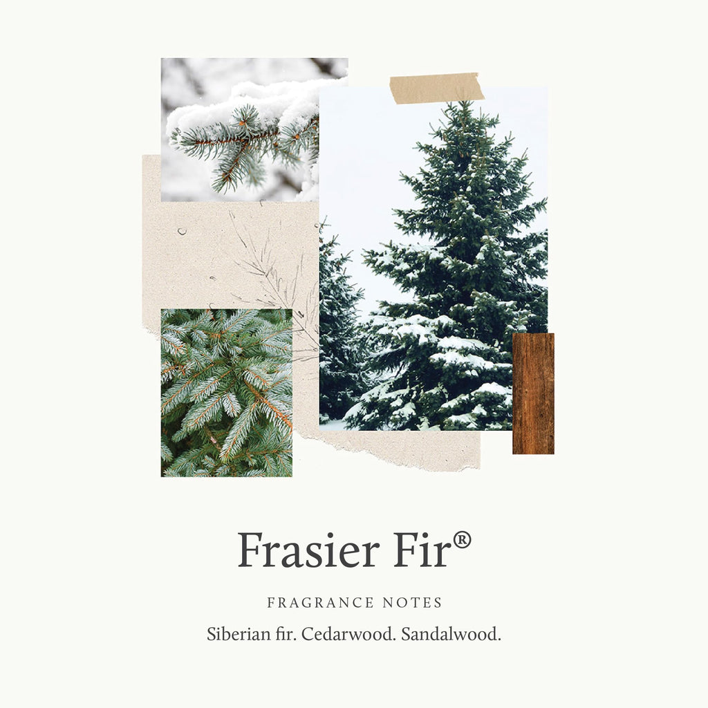 Thymes Frasier Fir Candle – Pine Needle Design – Holiday Scented Candle – Notes of Crisp Siberian Fir, Cedarwood & Sandalwood – Luxury Home Fragrance Gifts for Women & Men – Silver (Statement, 2 oz)