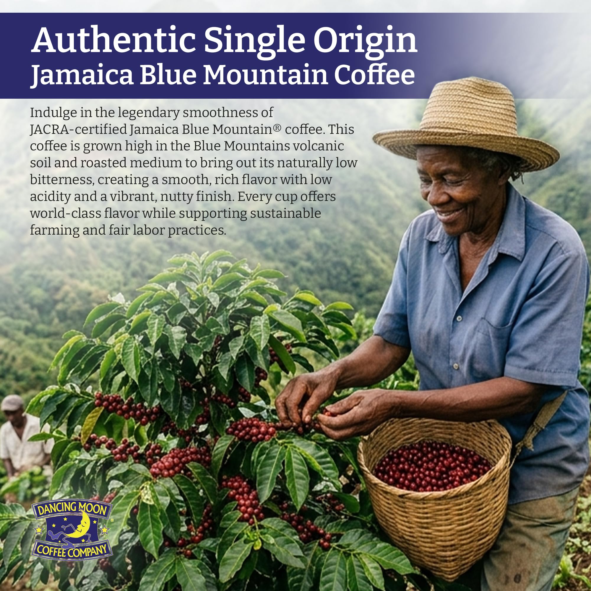 (2 Pack) Dancing Moon Coffee Co, 100% Pure Jamaica Blue Mountain® Ground Coffee - 8 oz Medium Roast