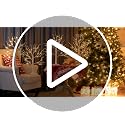 2FT Birch Tree Christmas Decor with LED Lights - Battery Powered Fairy Light Spirit Tree - 4 Pack