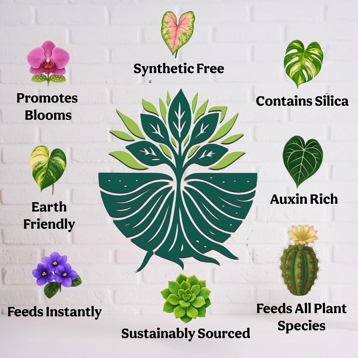 Skiennix Organic Liquid Indoor Plant Food - All-Purpose Fertilizer with Sea Kelp | 12oz Treats 75 Gallons
