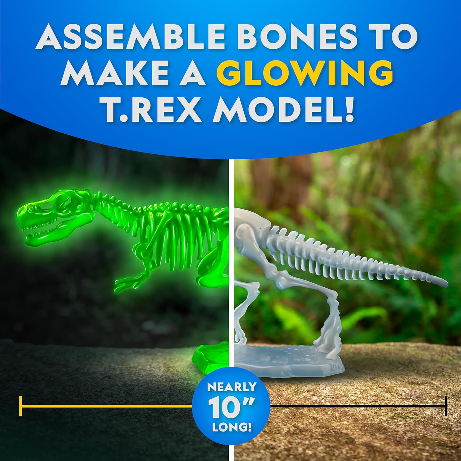 National Geographic T. Rex Dissection Lab - Glow-in-the-Dark Dinosaur Model, 9.5” Skeleton, Includes Refill Pack & Learning Guide