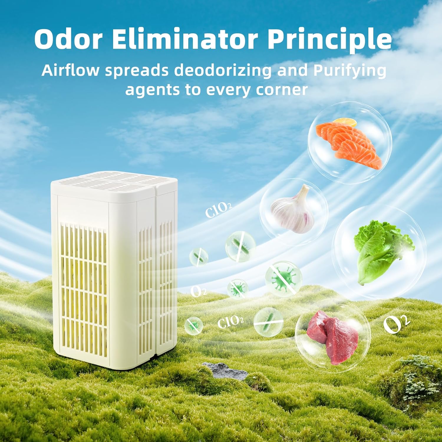 Skiennix Refrigerator Deodorizer - Long-Lasting Odor Eliminator for Freshness | 12 Months Supply