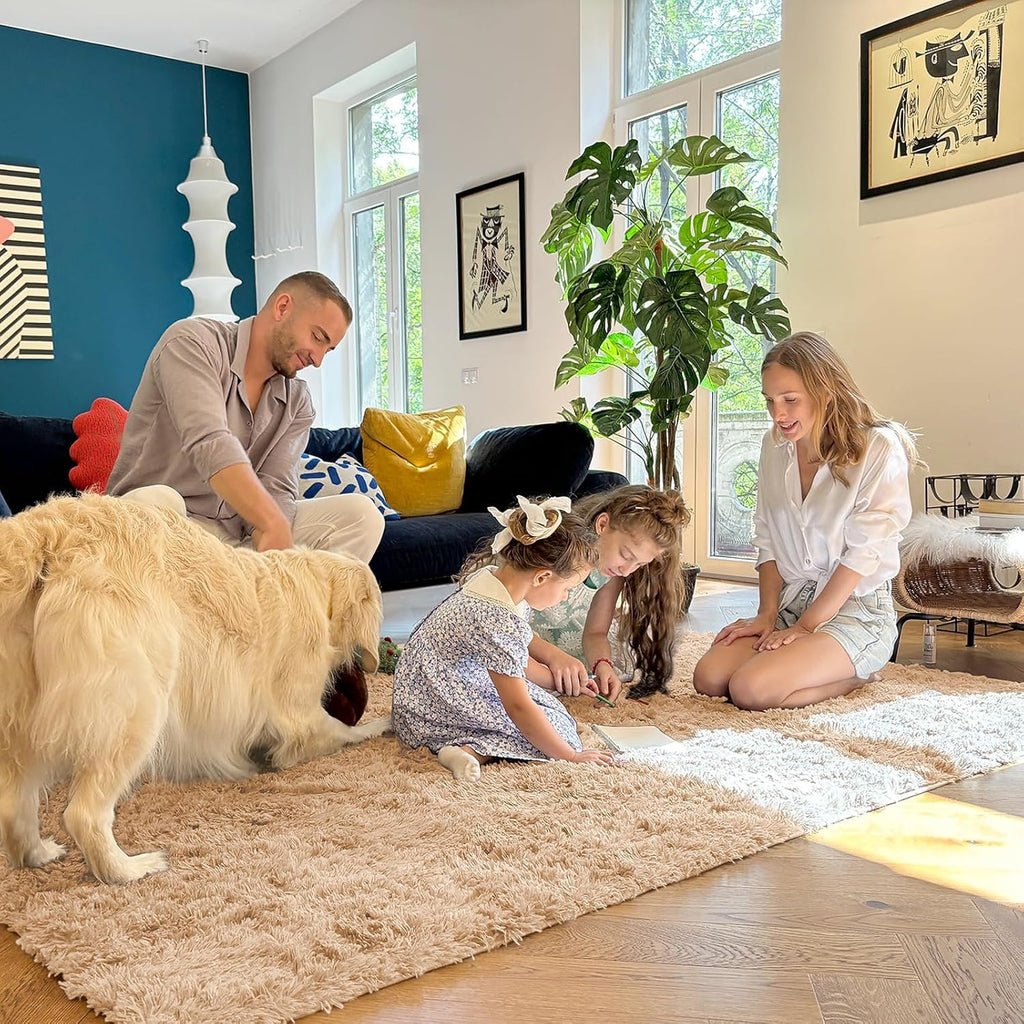 OLANLY Large Area Rug - Soft Fluffy Shaggy Indoor Carpet for Living Room & Bedroom | 5x9 Beige