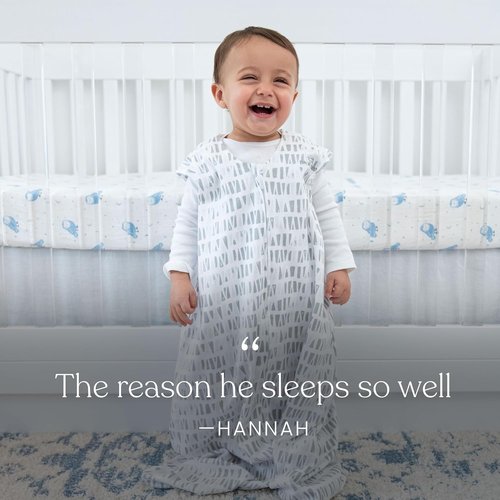 HALO Micro-Fleece Wearable Blanket - Cozy Swaddle Transition Sleeping Bag | TOG 1.0