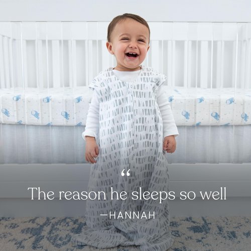 HALO Sleepsack, Micro-Fleece Wearable Blanket, Swaddle Transition Sleeping Bag, TOG 1.0, Daisy, Medium, 9-12 Months