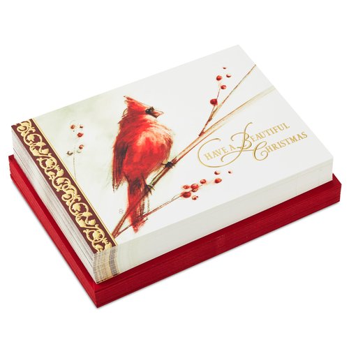 Hallmark Boxed Christmas Cards, Painted Cardinal (40 Cards and 40 Envelopes) Beautiful Christmas