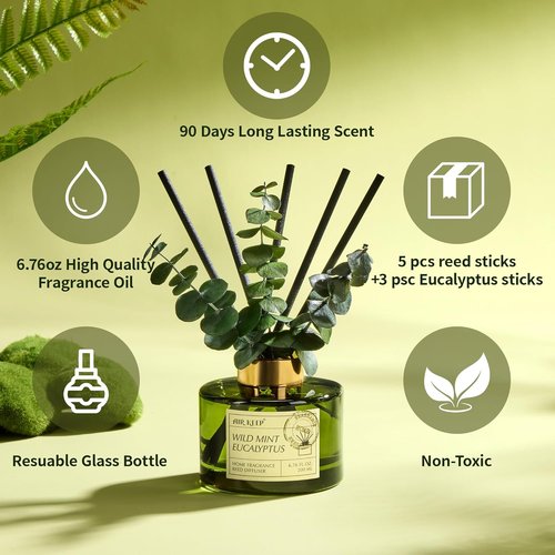 Airkeep Reed Diffuser Set - Wild Mint & Eucalyptus Essential Oils | 6.76 fl oz | Perfect for Home & Office Decor
