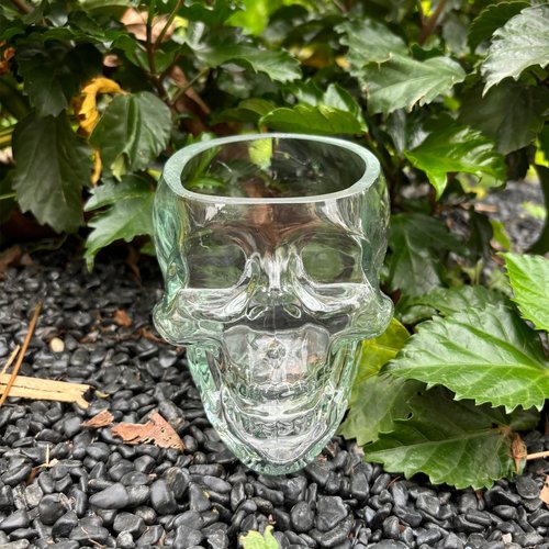 TVIAOH 350ml 6pcs Skull Wine Glass Funny Large Glasses Drinking Glass Vodka Spirits Cup Glass, Halloween Decorations Gifts Halloween Themed Party Holiday Gifts New Skull Cup (6)