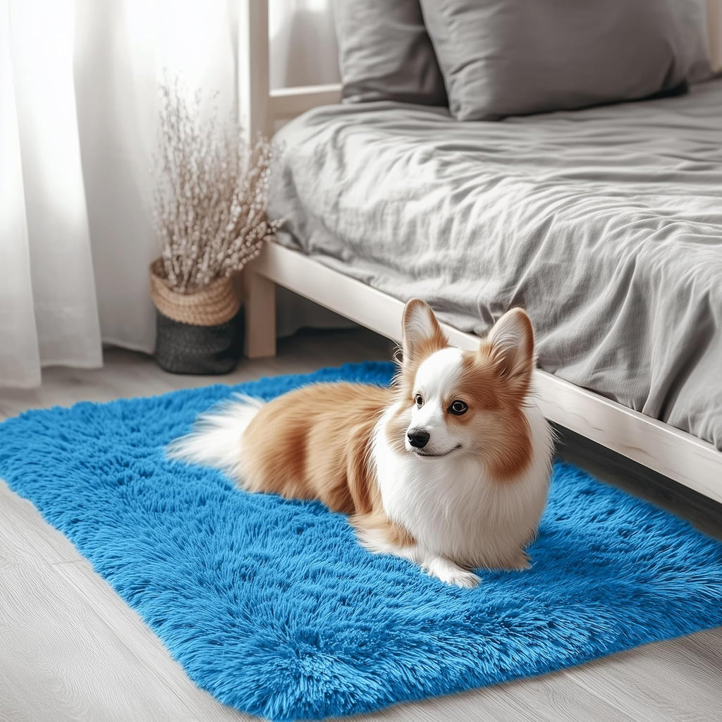 OLANLY Soft Fluffy Shaggy Bedside Rug - Machine Washable 2x3 Entryway Carpet in Bright Blue