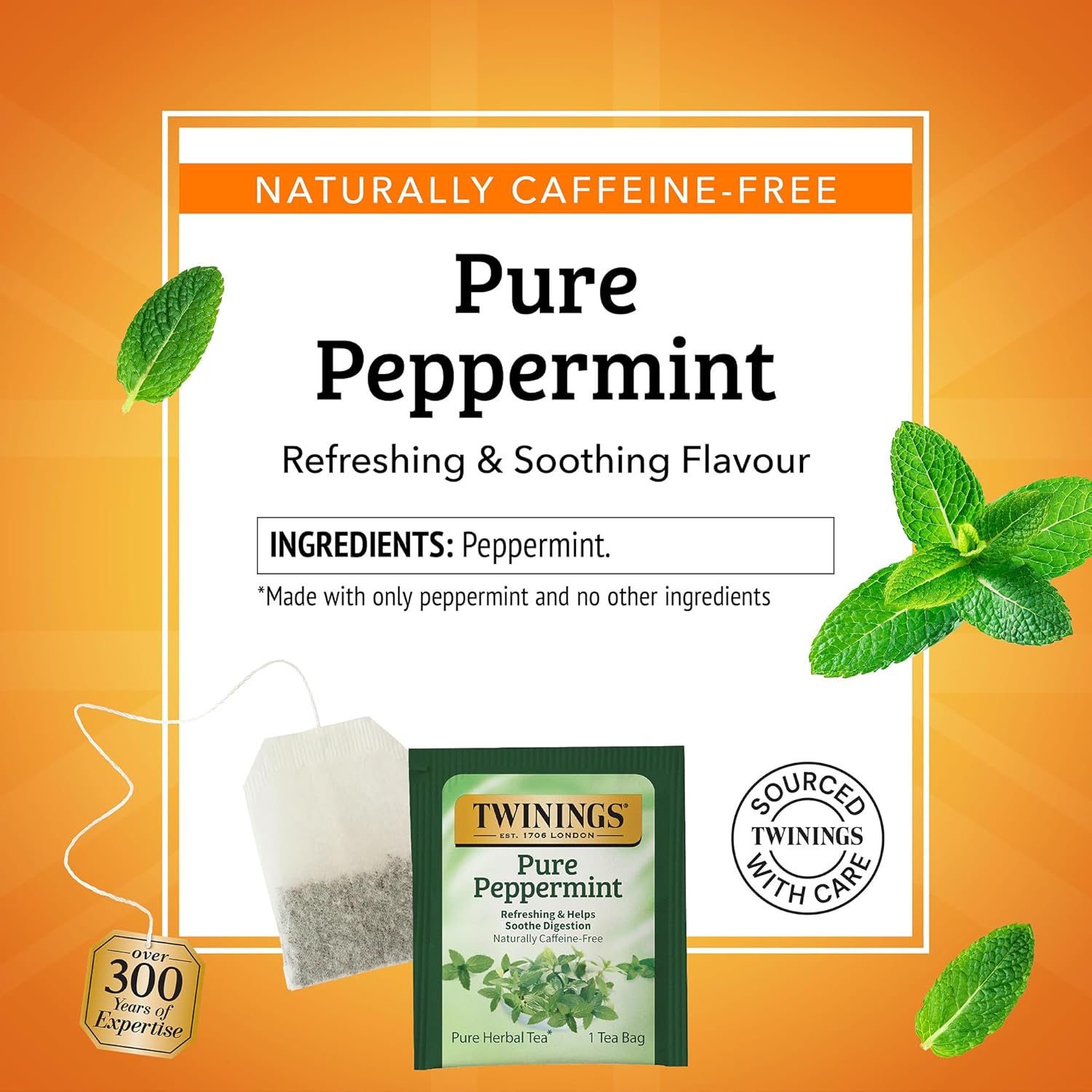 Twinings Pure Peppermint Herbal Tea - Individually Wrapped Bags, 25 Count | Caffeine-Free, Fresh Minty Flavor