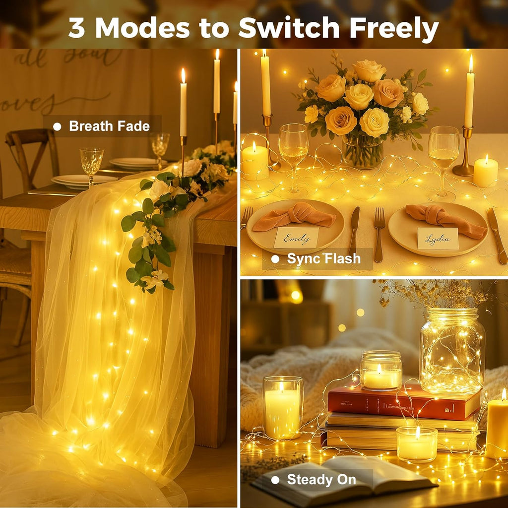 Skiennix 24 Pack Battery Operated Fairy Lights - 7ft Mini String Lights with Timer & 3 Modes | Warm White Twinkle Lights for Valentine's Day & Weddings