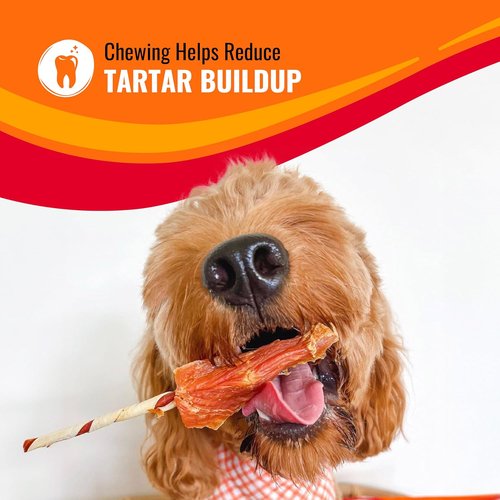 Good ‘n’ Fun Triple Flavor Kabobs - Long-Lasting Chews for Dogs | 24 Ounces of Beef Hide, Chicken & Pork