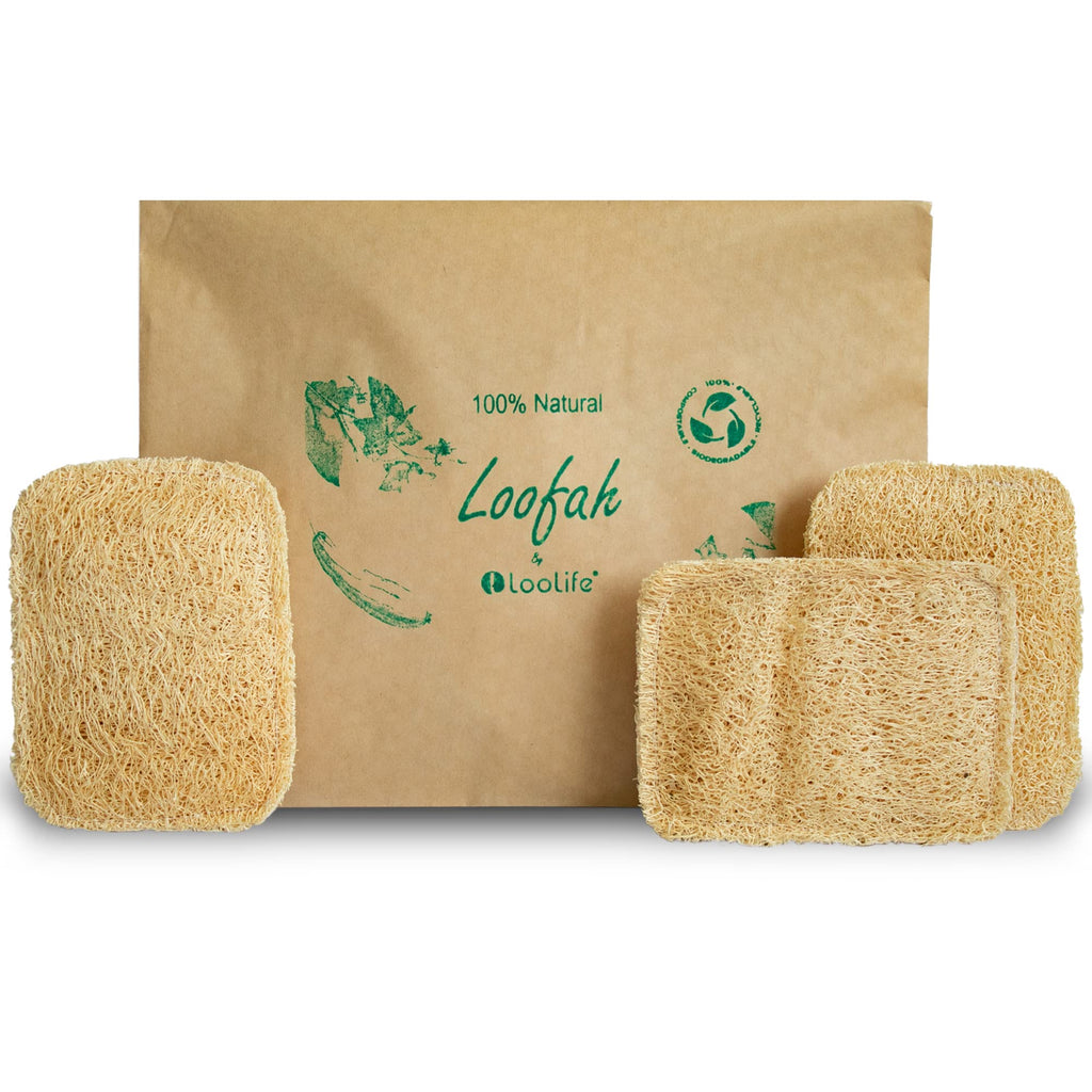 Natural Loofah Kitchen Sponge (3 Pack) - Natural Sponges for Dishes - Eco Friendly and Compostable Sponges - Biodegradable Plant Based Kitchen Dish Sponge - Plastic Free Dish Scrubber
