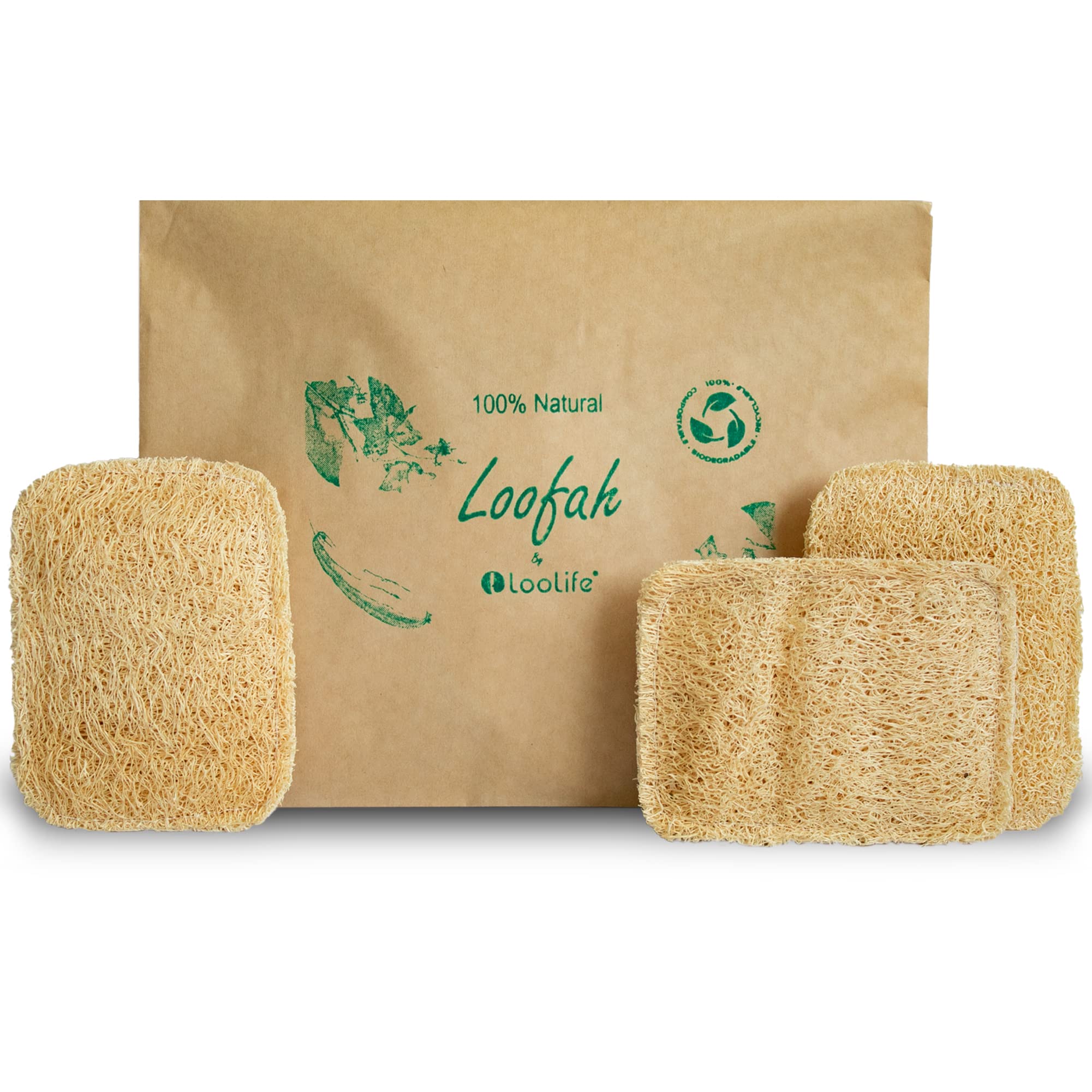 Natural Loofah Kitchen Sponge (3 Pack) - Natural Sponges for Dishes - Eco Friendly and Compostable Sponges - Biodegradable Plant Based Kitchen Dish Sponge - Plastic Free Dish Scrubber