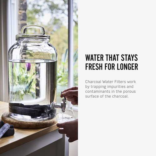 BLACK + BLUM Charcoal Water Filter Sticks | Charcoal Filter Hydration Old Japanese Tradition, Lasting 6 Months Each, Wood Black (4 Piece)