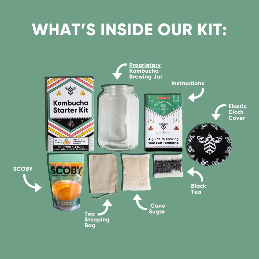Craft A Brew Home Brewing Starter Kit Kombucha Tea Kit – Home Kombucha Kit – Fermentation Starter with Kombucha SCOBY – 1 Gallon