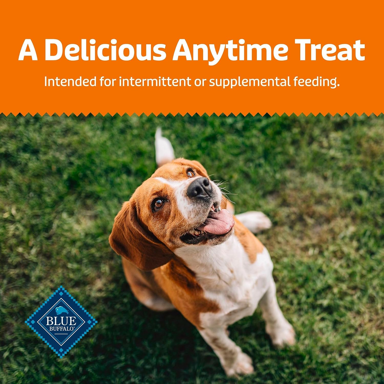 Blue Buffalo Crunchy Dog Biscuits - Oven-Baked Health Bars with Pumpkin & Cinnamon | 16 oz Bag