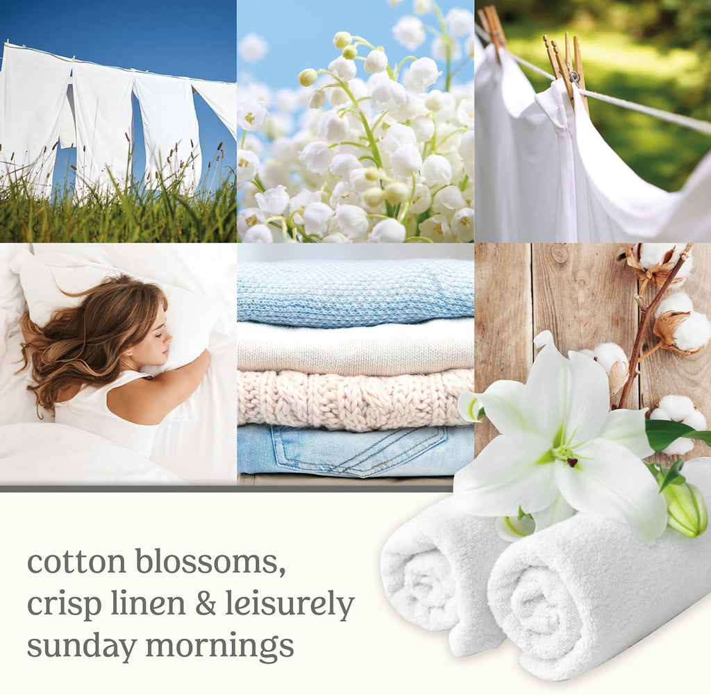 Yankee Candle ScentPlug Refill - Long Lasting Clean Cotton Scented Oil for Home Fragrance | Pack of 2