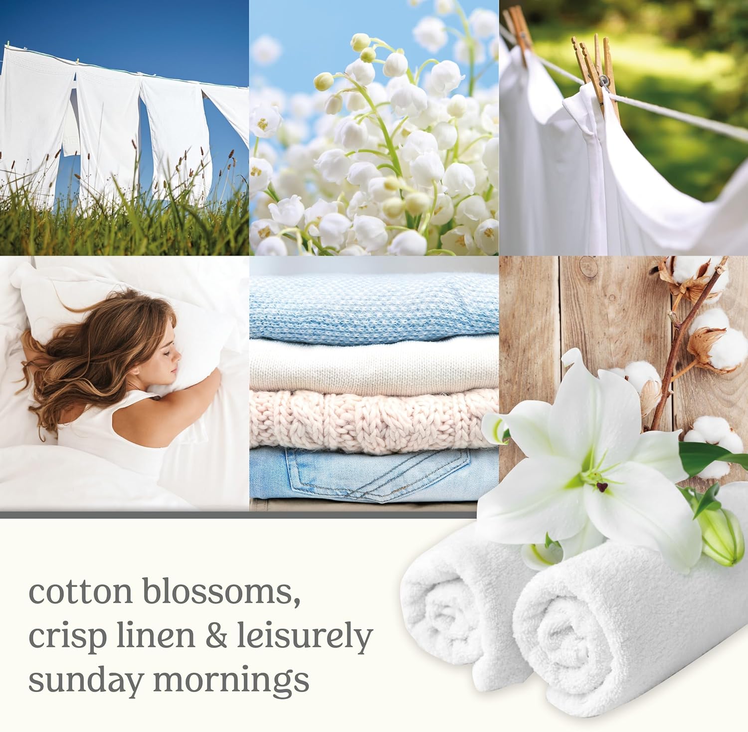 Yankee Candle ScentPlug Refill - Long Lasting Clean Cotton Scented Oil for Home Fragrance | Pack of 2