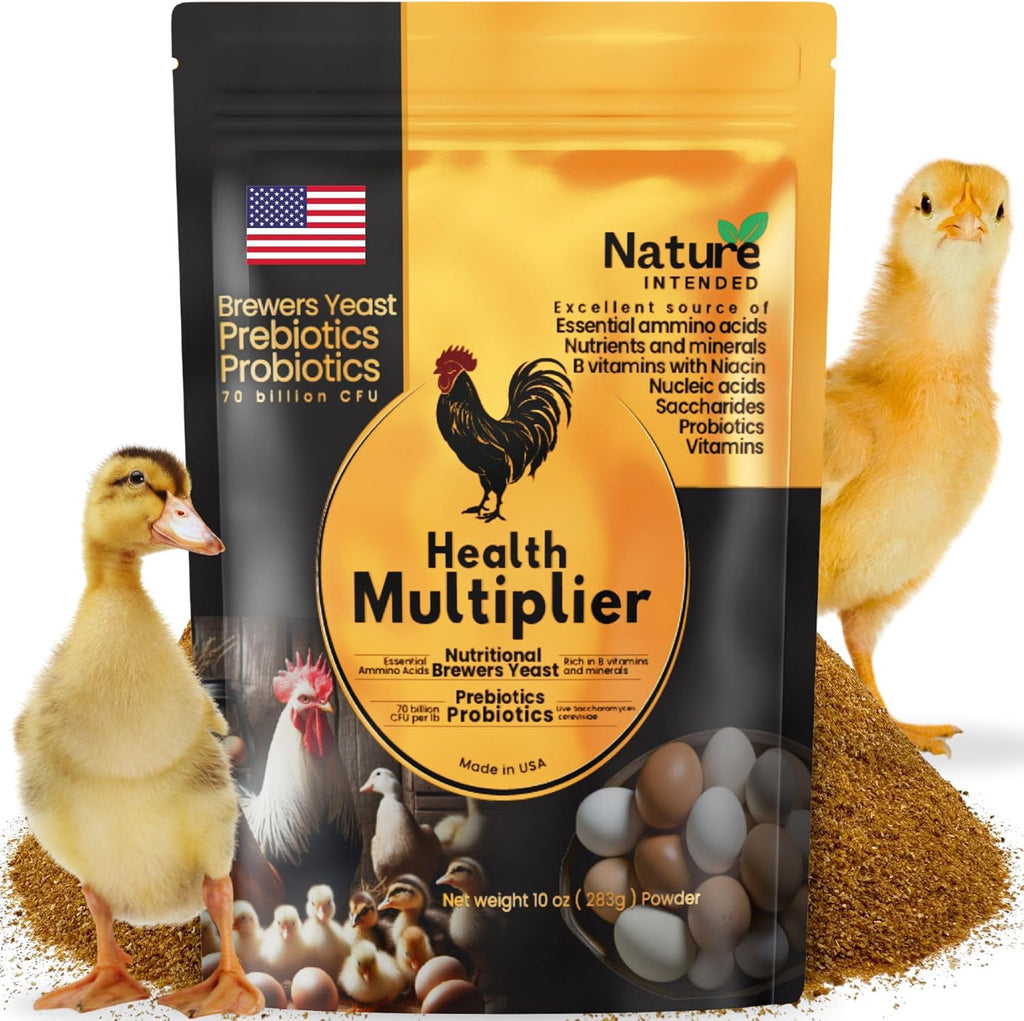 Brewer's Yeast Probiotics Supplement - Enhance Egg Quality & Recovery for Poultry | 10-Ounce Pouch