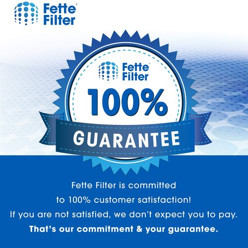 Fette Filter - 967371-01 Replacement Vacuum Filter Compatible with Dyson Big Ball Cylinder Vacuum Cleaner Pre Motor Filter Models CY18 CY22 CY23 CY24 CY25 DY75 DY77 DY78 2 QTY - Part # 967371-01