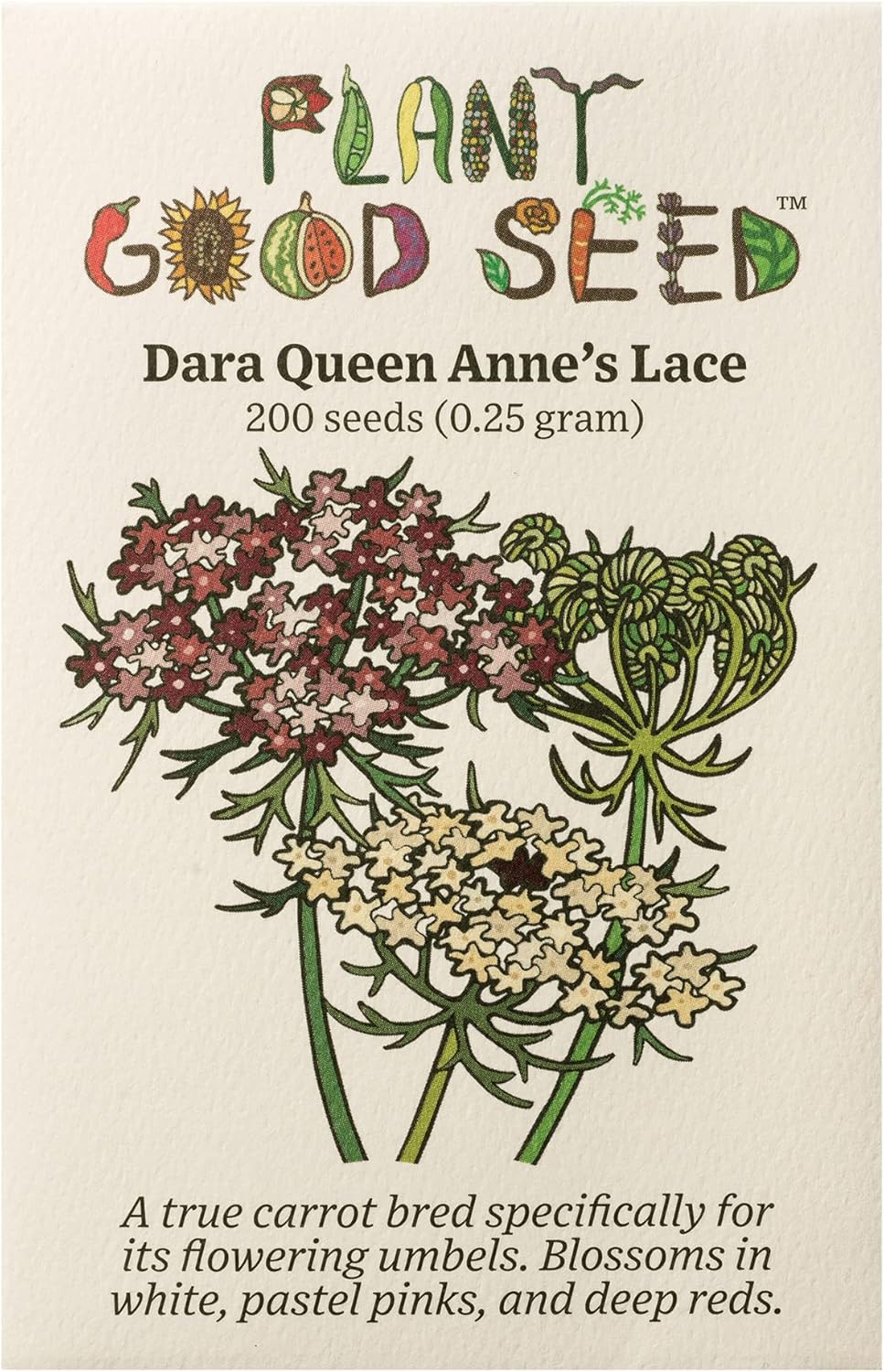 Plant Good Seed Organic Dara Queen Anne's Lace Flower Seeds - Heirloom Ammi in Red, Pink & White - 200 Seeds