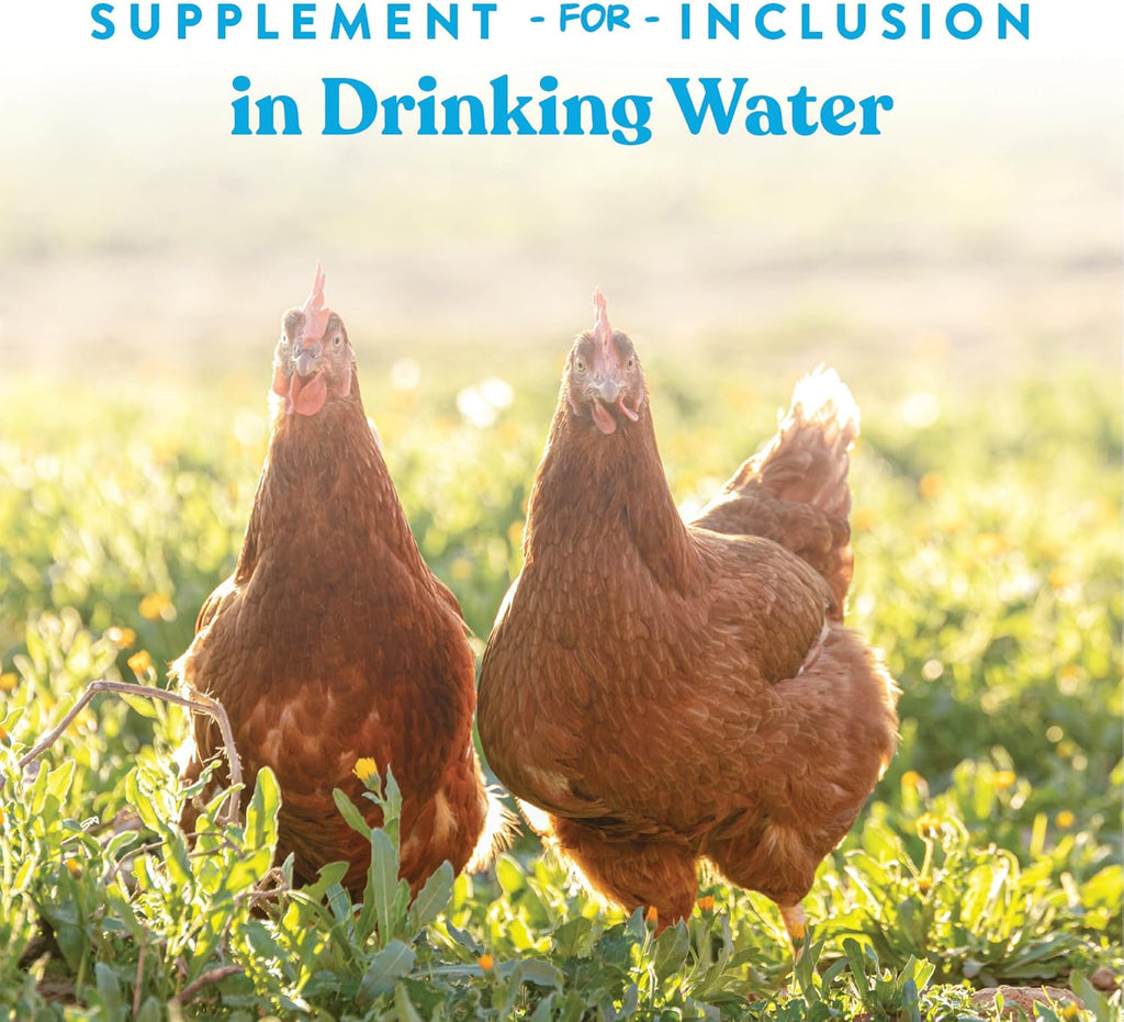 Manna Pro Hydro-Hen Poultry Electrolyte & Probiotic Supplement - Hydration Support for Chickens & Ducks, 20 oz