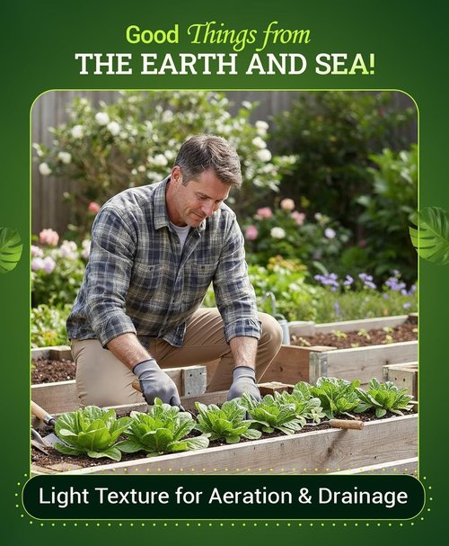 FoxFarm Ocean Forest Potting Soil - Light, Aerated Mix with Fish & Crab Meal - 2 x 12 Quart for Seedlings & Houseplants