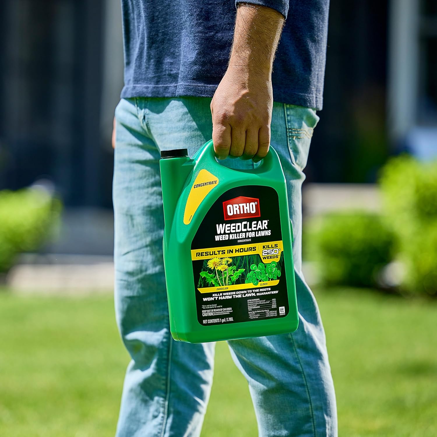 Ortho WeedClear Weed Killer Concentrate - Effectively Kills Dandelions & Clover | 1 Gallon