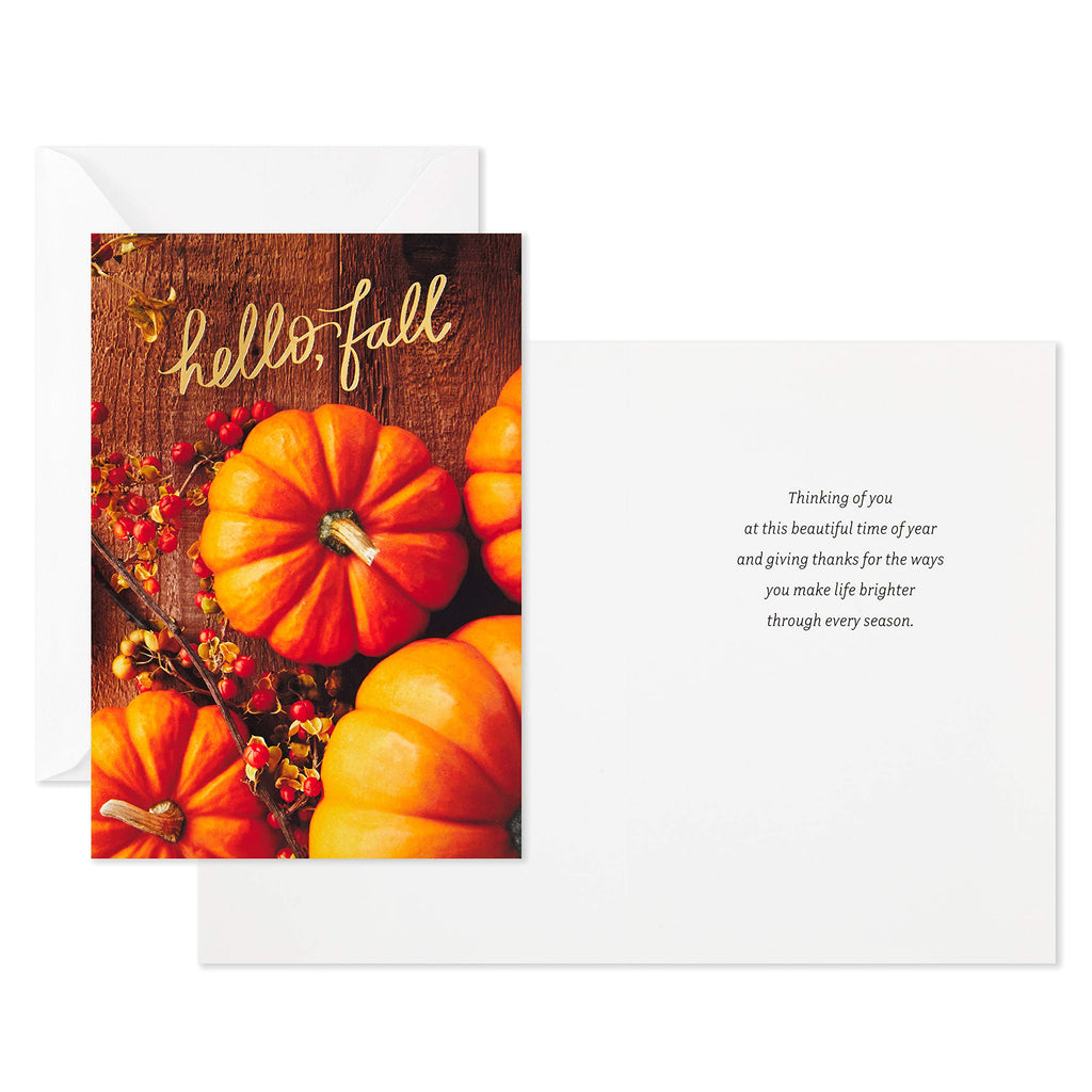 Hallmark Thanksgiving Cards Assortment, Hello Fall (16 Assorted Seasonal and Blank Cards with Envelopes)