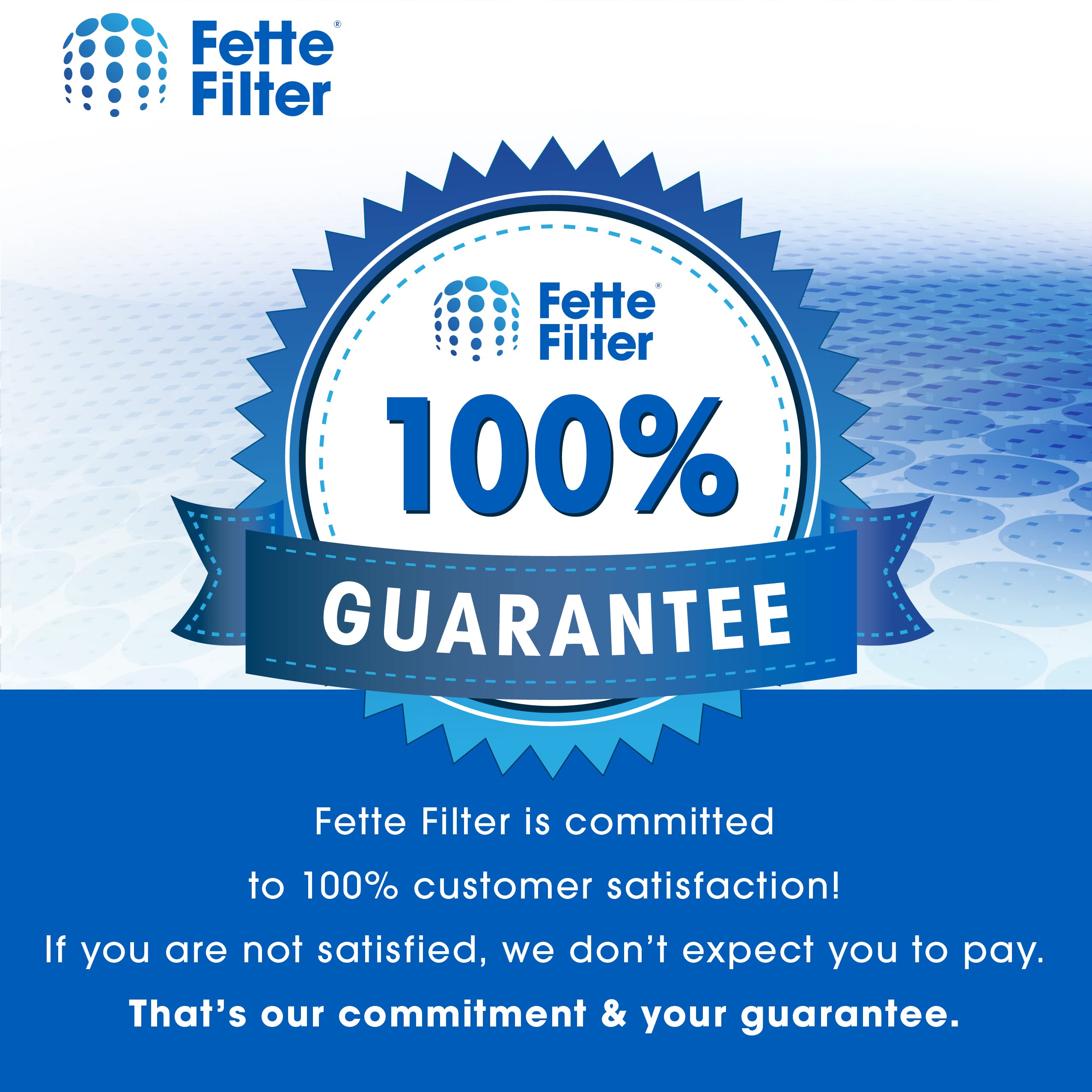 Fette Filter - 2- Pack Filter with Bissell 2156A, 1665, 16652, 1665W, 2156E Canister Vacuum, Compare to Part 1613056 for Bissell Zing, AeroSwift, and Powerforce Canister Vacuums - Pack of 2