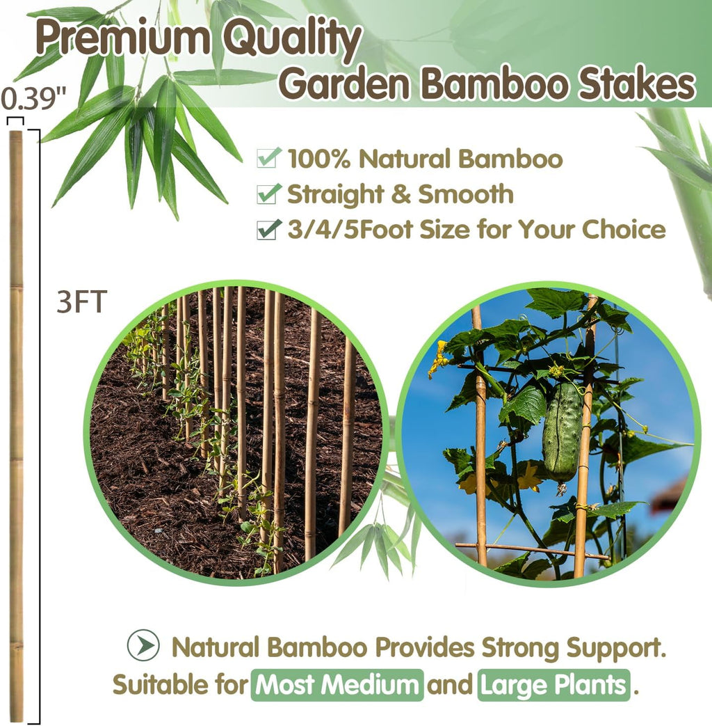 BOVITRO Bamboo Stakes - 3FT Natural Plant Supports for Tomatoes, Beans & Climbing Vegetables | 25 Pcs