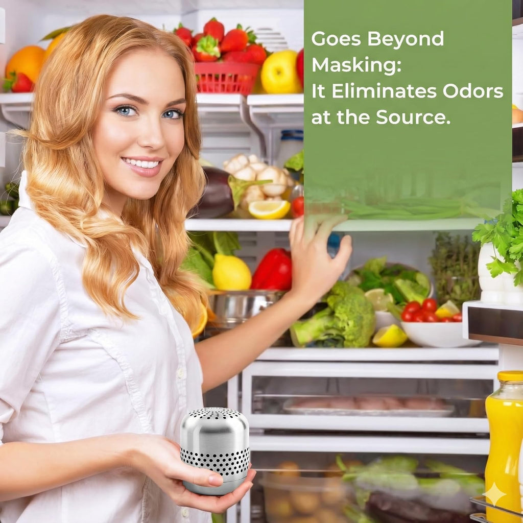 Skiennix Fridge Deodorizer | Long-Lasting Odor Eliminator - Lasts 10 Years, Nano Catalyst Technology (1 Pack)