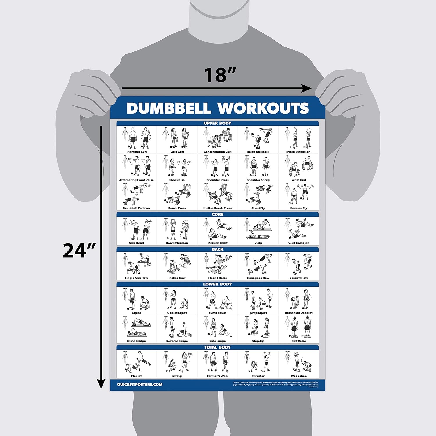 Palace Learning Dumbbell Workout Posters Set - 4 Pack with Resistance Bands Exercise Chart