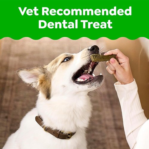Greenies - Veterinarian-Recommended Natural Dental Dog Treats | Teenie Size, Original Flavor, 36 oz Pack