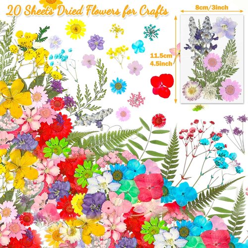 200 Pcs Dried Pressed Flowers for Crafts, 20 Sheets Real Dry Florals and Leaves Bulk with Tweezer for Resin Molds Candle Soap Making Scrapbook Bookmarks Frames Supplies Kit Nail Art Makeup Decor