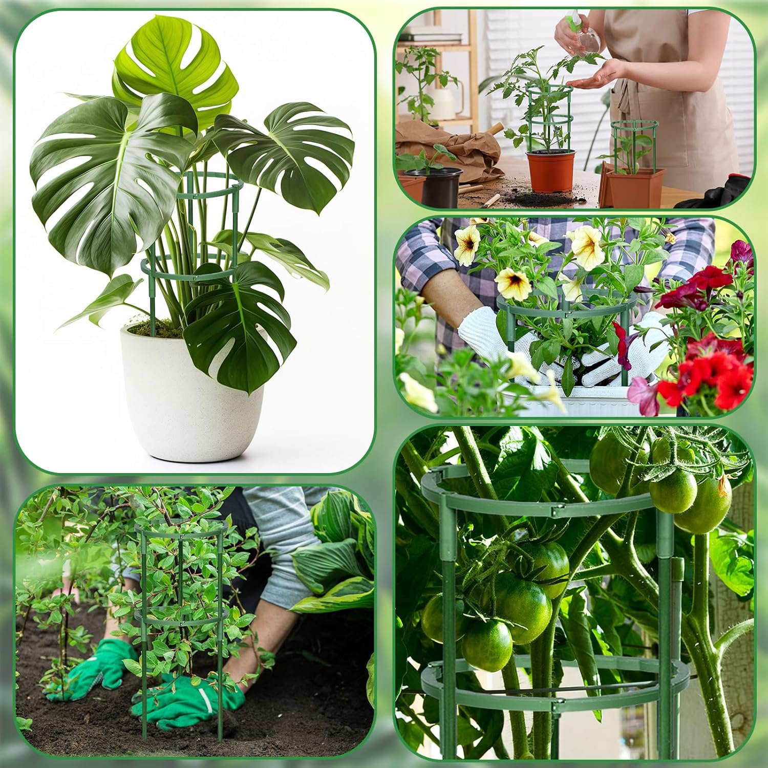 Skiennix Plant Support Stakes - 48 Pcs Half Round Indoor/Outdoor Garden Support with Clips for Climbing Plants