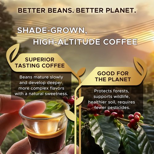 Coffeeza Variety Pack – 120 Coffee Capsules (Pack of 12) – Original Line compatible – Specialty Indian Coffee – Recyclable Pods – Medium to Medium Dark Roast – Espresso Pods