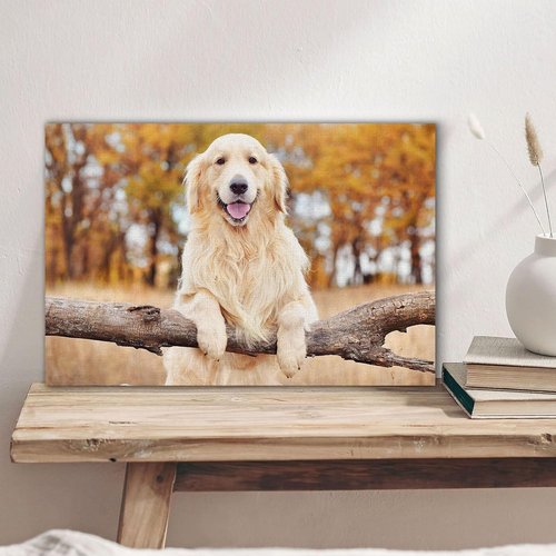 Custom Canvas Prints - Personalized Photo Wall Art for Family & Pets | Framed 20x16