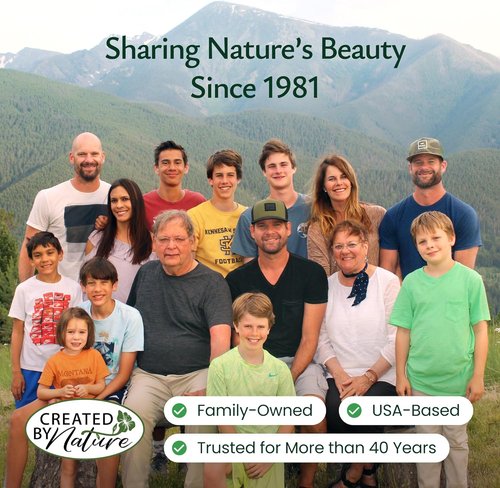 Created By Nature Wildflower Seed Mix - 60,000+ Seeds with 20 Flower Varieties for Vibrant Gardens
