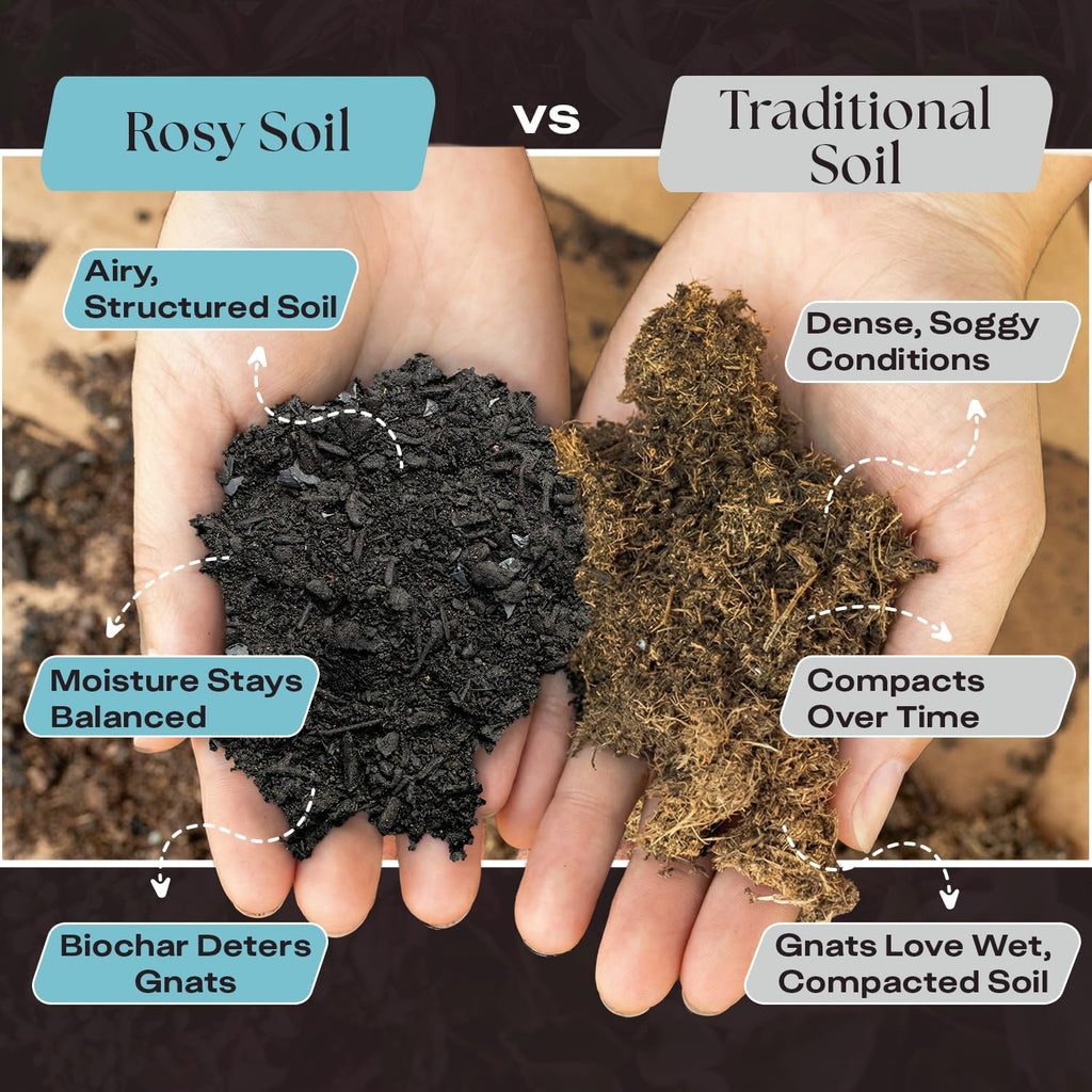 Rosy Soil Indoor Potting Soil - Organic Mix Enriched with Biochar for Healthy House Plants | 8qt