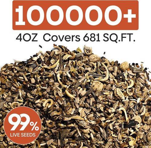 Groundio Wildflower Seeds - 26 Variety Mix for Pollinators | 1/4 lb Bulk, Plant in Spring or Fall