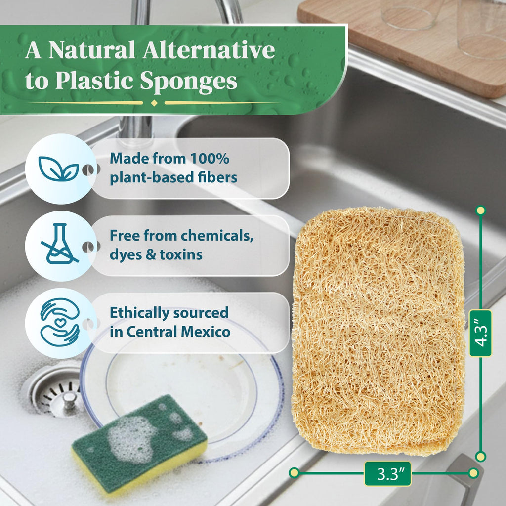 Natural Loofah Kitchen Sponge (3 Pack) - Natural Sponges for Dishes - Eco Friendly and Compostable Sponges - Biodegradable Plant Based Kitchen Dish Sponge - Plastic Free Dish Scrubber