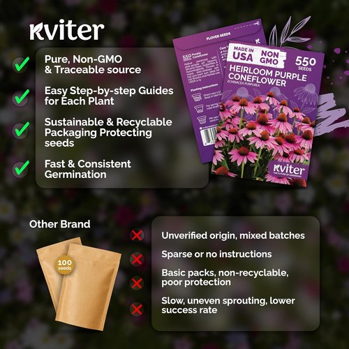 KVITER 550 Purple Coneflower Seeds - Echinacea Purpurea Herb Flower Seeds for Medicinal Gardens | Wildflower Pollinator Pack