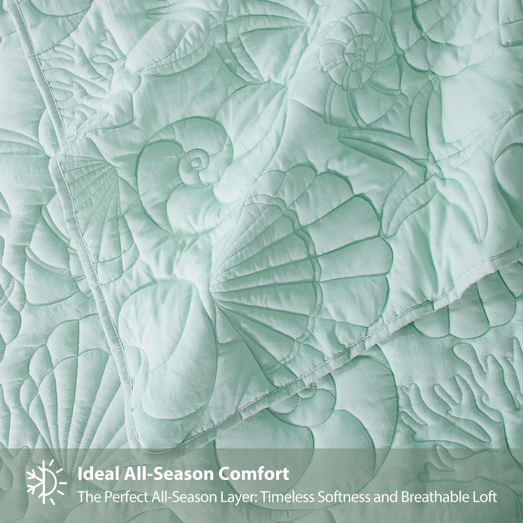 WDCOZY Coastal Beach Queen Size Quilt Bedding Sets, Seafoam Green Nautical Tropical Ocean Bedspread, Scallop Seashell Soft Coverlet, Lightweight Summer Thin Comforter for All Season