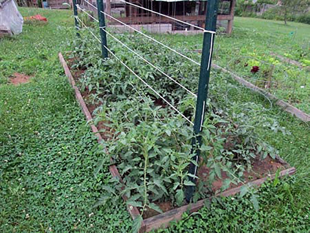 6300FT Garden Twine - Durable Tomato Tying String for Strong Support | Heavy-Duty Green