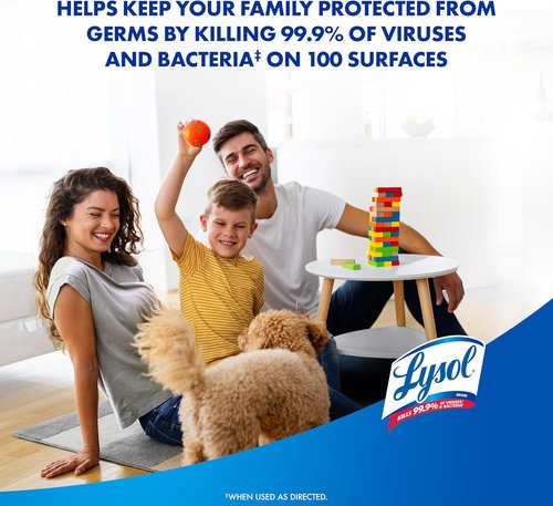 Lysol Disinfectant Spray - Antibacterial & Sanitizing Spray, Early Morning Breeze, 19 Fl Oz (Pack of 2)