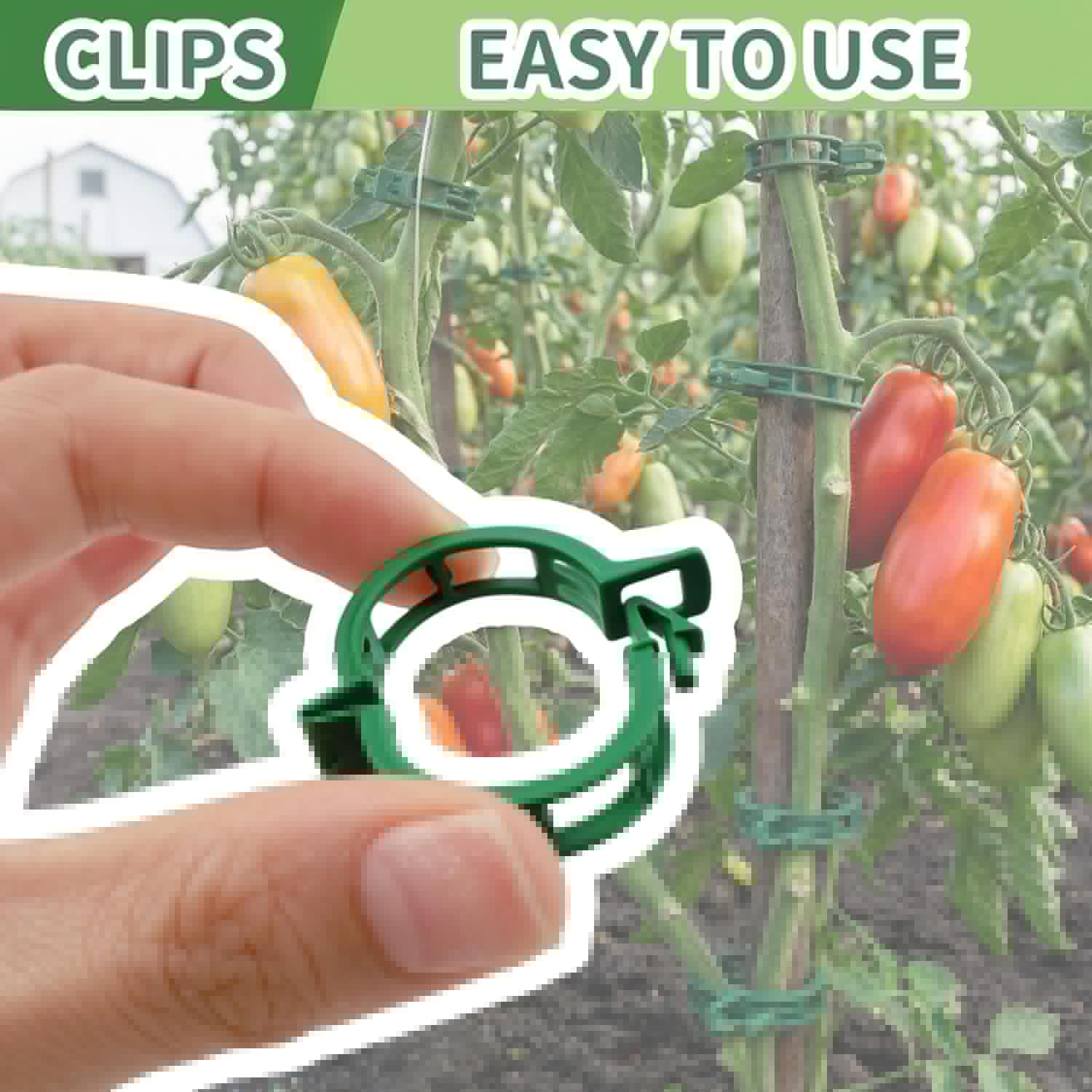 Skiennix Plant Support Clips - 60 Pcs Plastic Clips for Securing Tomato Vines & Climbing Plants